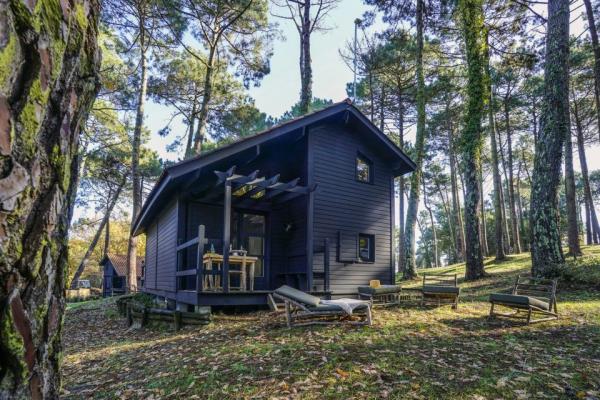 Village Slow Village Biscarrosse Lac Biscarrosse Vayacamping