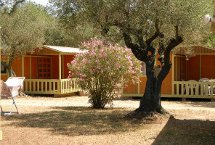 Bungalow en madera Campitel