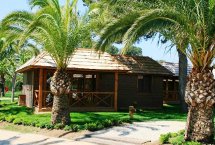 Chalets en bois Deluxe Palm Tree Villas