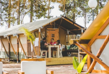 Bungalow en madera Glamping Safari Premium