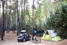 Parcelas camping clásicas