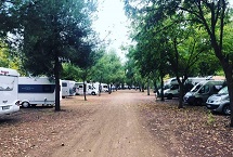 Parcelas camping Standard