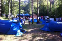 Parcelas camping Standard