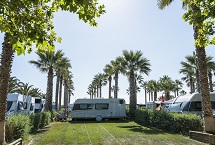 Parcelas camping Premium