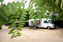 Parcelas camping Standard