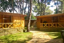 Chalets Petit Chalet 3p