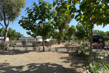 Emplacements camping Bronze