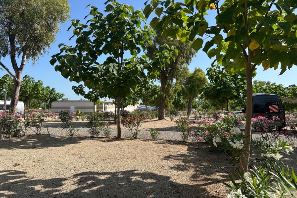 campings/espana/comunidad-valenciana/castellon/CampingPeniscola/parcela-web2-personnalise.JPG