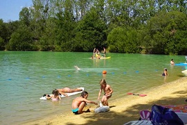 Le chêne du Lac, Bayas (Gironde)