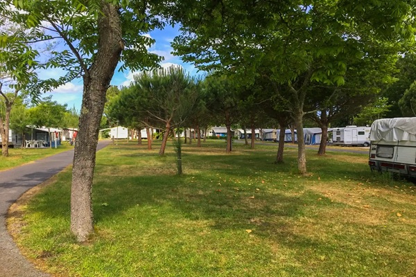 campings/francia/aquitania/landas/Albret/locatifs-du-camping-paradis-albret.jpg