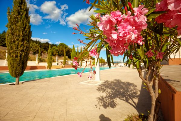 campings/francia/languedoc-rosellon/aude/DomaineArnauteille/4.jpg