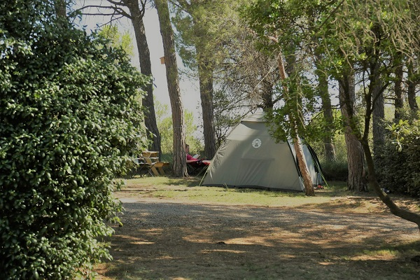 campings/francia/languedoc-rosellon/aude/Figurotta/10.png