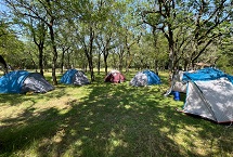 Parcelas camping standard