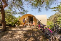 Coco- Sweets Kon Tiki