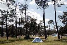 Parcelas camping Acampada libre