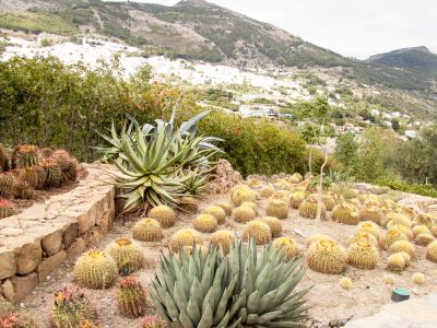 Jardin botanique de cactus à Casarabonela