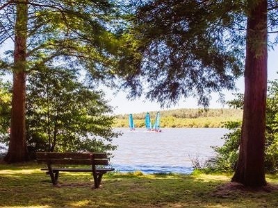 Randonnées autour du lac de Soustons