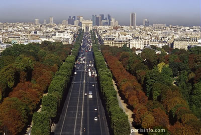 Campos Eliseos / Champs Elysées