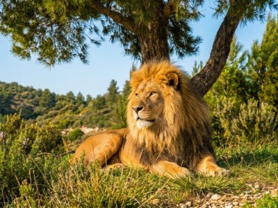 Réserve Africaine de Sigean