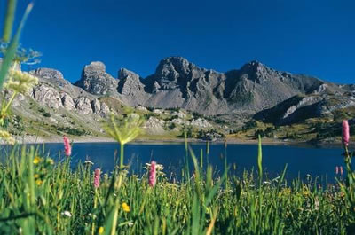 El Parque Nacional de Mercantour protege a una…