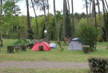 Parcelas camping Standard