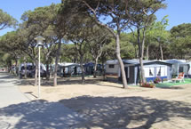 Parcelas camping Standard