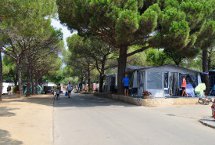 Parcelas camping Standard