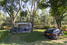 Parcelas camping Confort