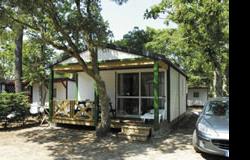 Bungalow en bois Chalet