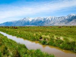 Parc national de la Sierra Nevada