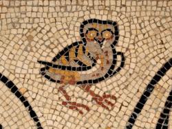 Villa romaine et musée de Vesunna