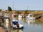 Promenade en bateau sur la Charente
